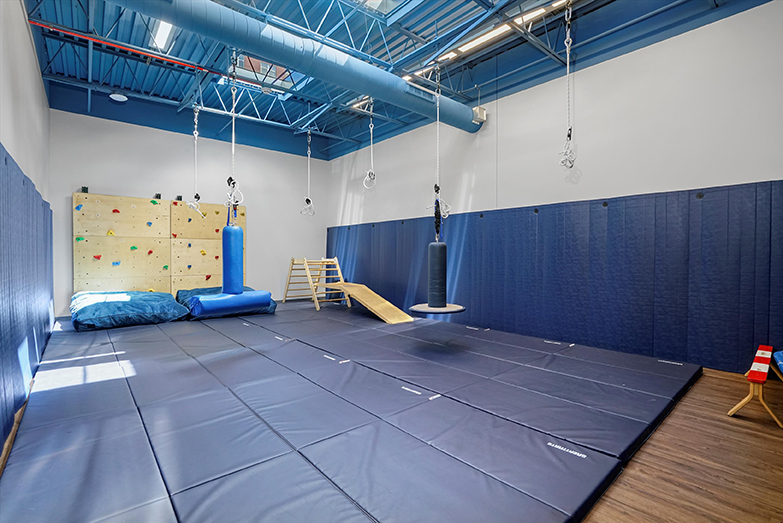 Interactive Therapeutic Sensorimotor gym at our West Loop Chicago location. Hanging from the ceiling is a flexion disc swing and a flexion t-bar swing for balance, bilateral strength, and vestibular input. On the back wall is a rock climbing wall to build gross motor skills, crash mats underneath for safety, a round wooden climbing ladder with a slide, and a red and white balance beam. The walls and floors are covered with blue padding for safety.