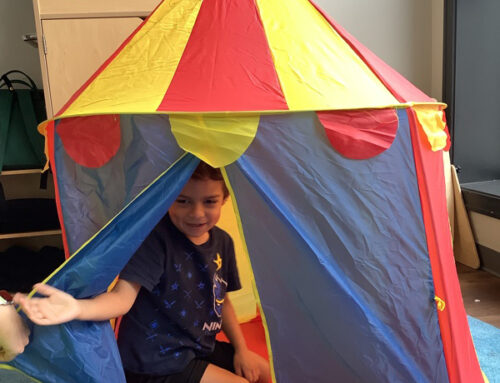 A Day at the Chicago Circus