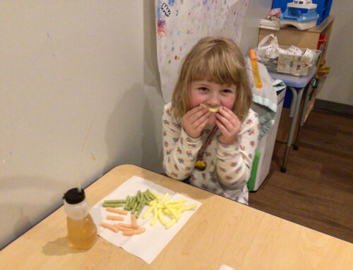 The Final Senses: Internal Signals, Temperature, Pain, and More