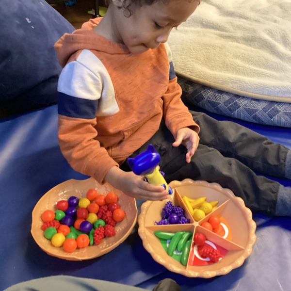 sorting-nurtition-guide