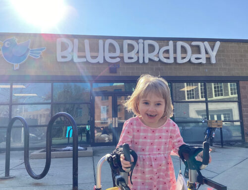 Emotional Regulation Programs: Helping Young Children Feel Safe, Understood, and Empowered